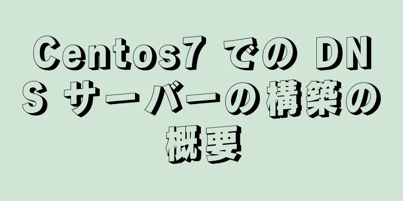 Centos7 での DNS サーバーの構築の概要