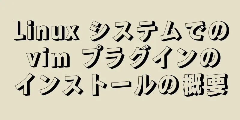 Linux システムでの vim プラグインのインストールの概要