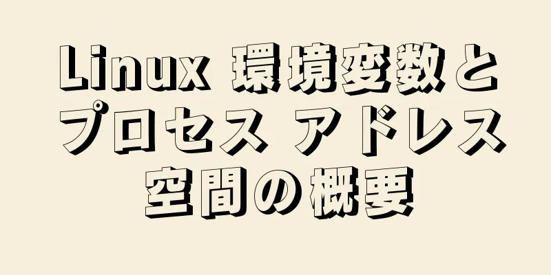 Linux 環境変数とプロセス アドレス空間の概要