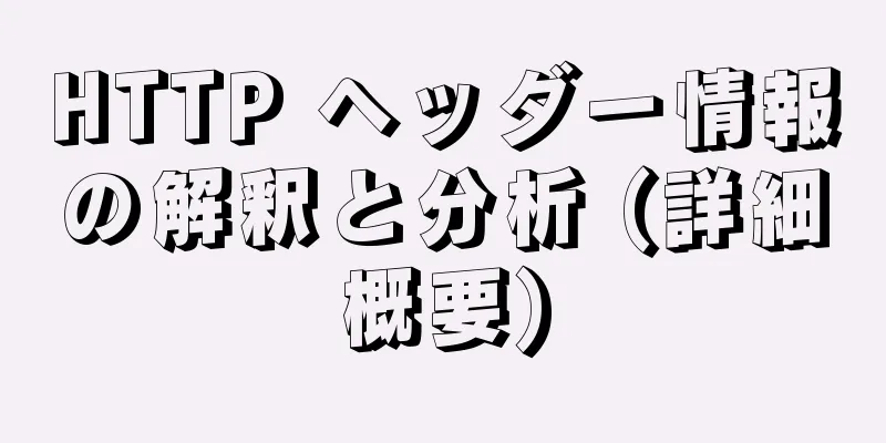 HTTP ヘッダー情報の解釈と分析 (詳細概要)