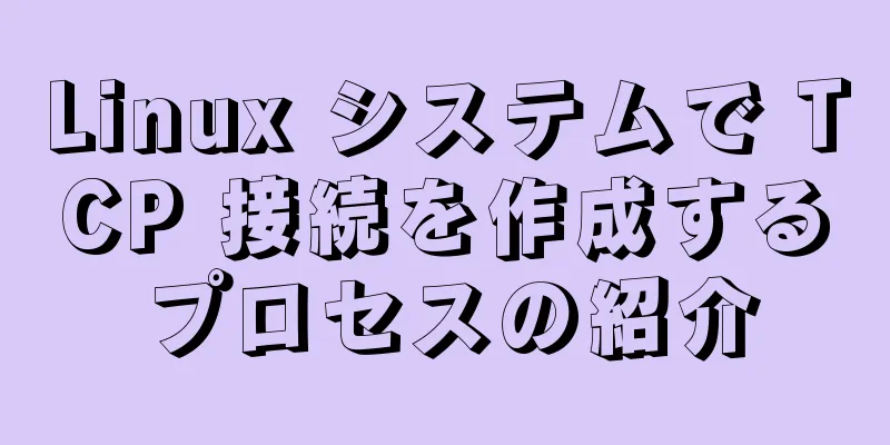 Linux システムで TCP 接続を作成するプロセスの紹介