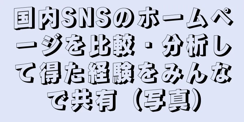 国内SNSのホームページを比較・分析して得た経験をみんなで共有（写真）