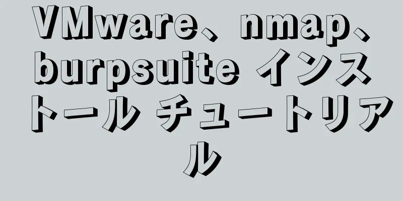 VMware、nmap、burpsuite インストール チュートリアル