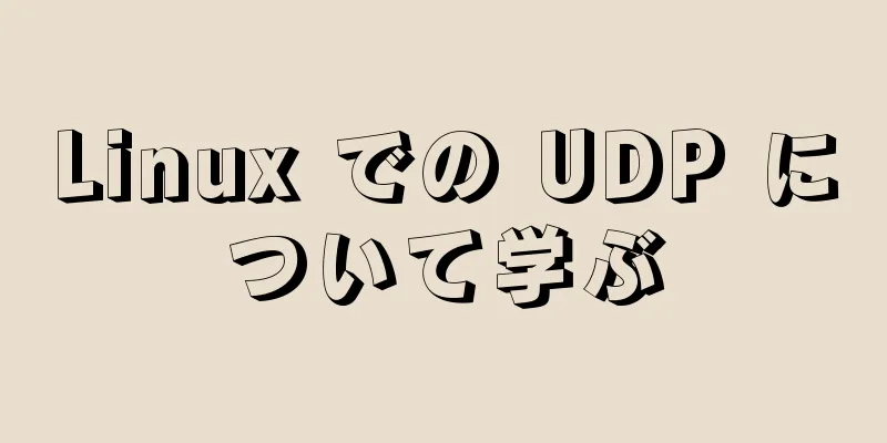 Linux での UDP について学ぶ