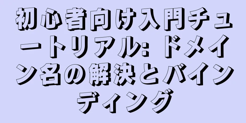 初心者向け入門チュートリアル: ドメイン名の解決とバインディング