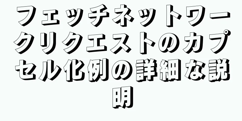 フェッチネットワークリクエストのカプセル化例の詳細な説明