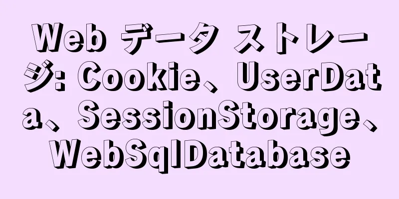 Web データ ストレージ: Cookie、UserData、SessionStorage、WebSqlDatabase