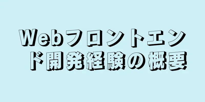 Webフロントエンド開発経験の概要