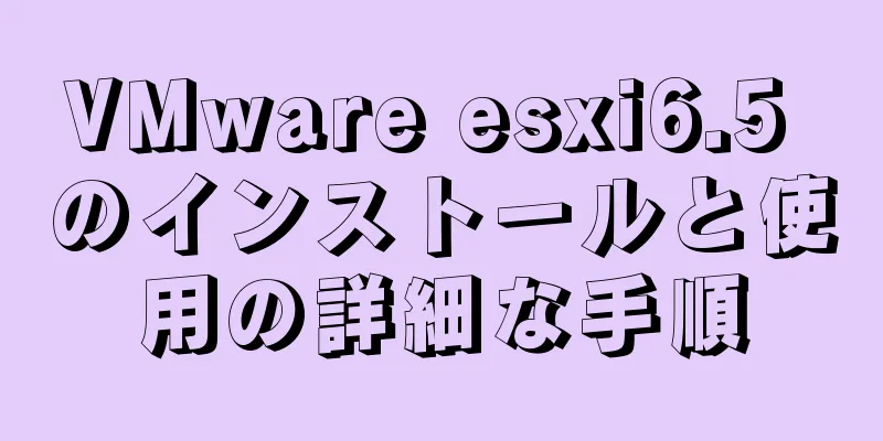 VMware esxi6.5 のインストールと使用の詳細な手順