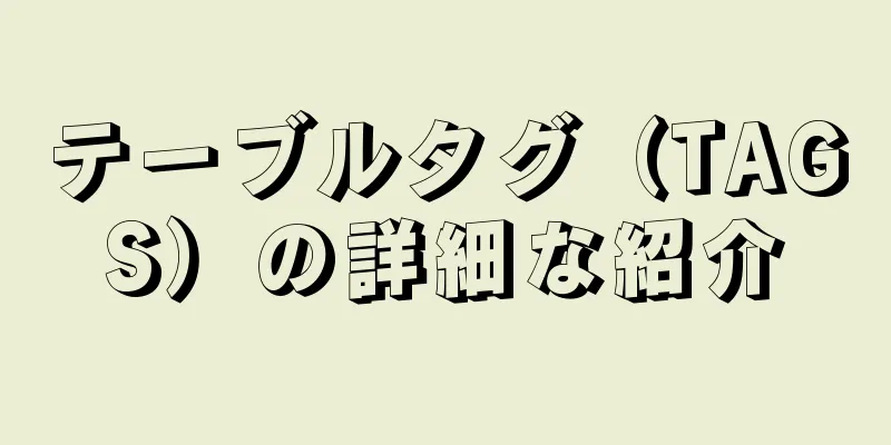 テーブルタグ（TAGS）の詳細な紹介