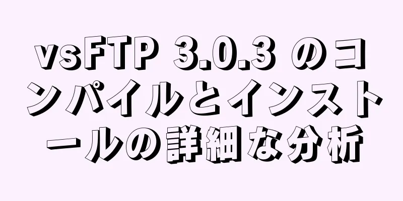 vsFTP 3.0.3 のコンパイルとインストールの詳細な分析