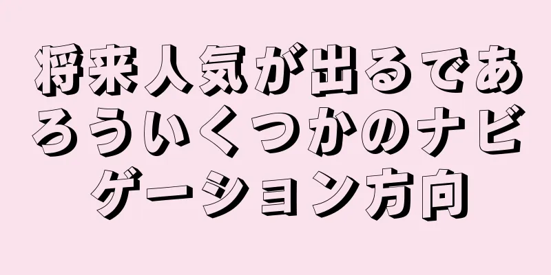 将来人気が出るであろういくつかのナビゲーション方向