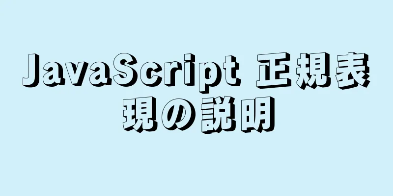 JavaScript 正規表現の説明