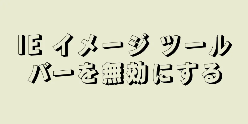 IE イメージ ツールバーを無効にする