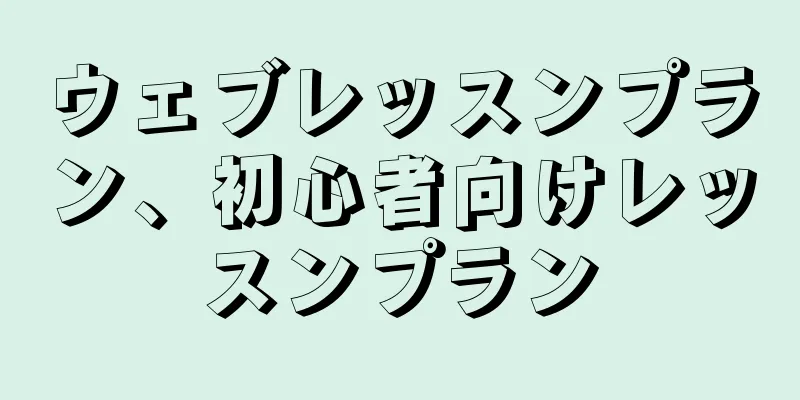 ウェブレッスンプラン、初心者向けレッスンプラン