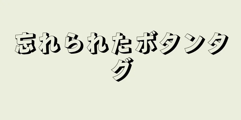 忘れられたボタンタグ