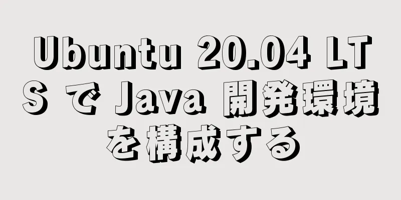 Ubuntu 20.04 LTS で Java 開発環境を構成する