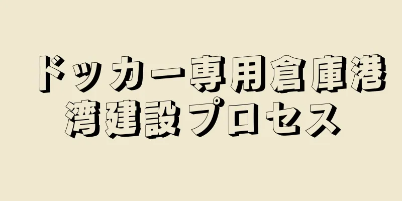 ドッカー専用倉庫港湾建設プロセス