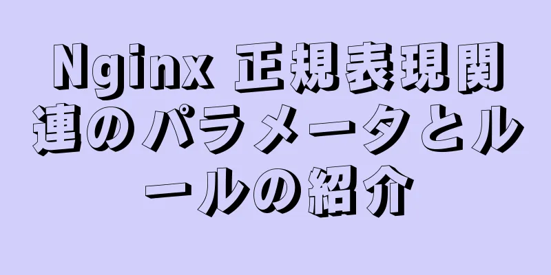 Nginx 正規表現関連のパラメータとルールの紹介