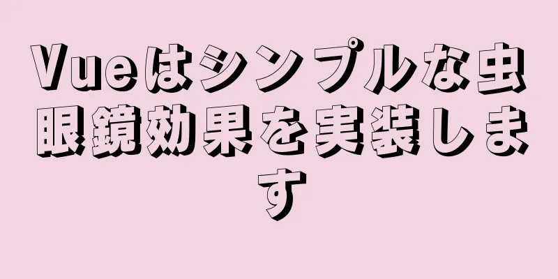 Vueはシンプルな虫眼鏡効果を実装します