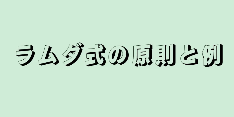 ラムダ式の原則と例