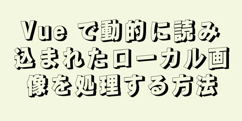 Vue で動的に読み込まれたローカル画像を処理する方法