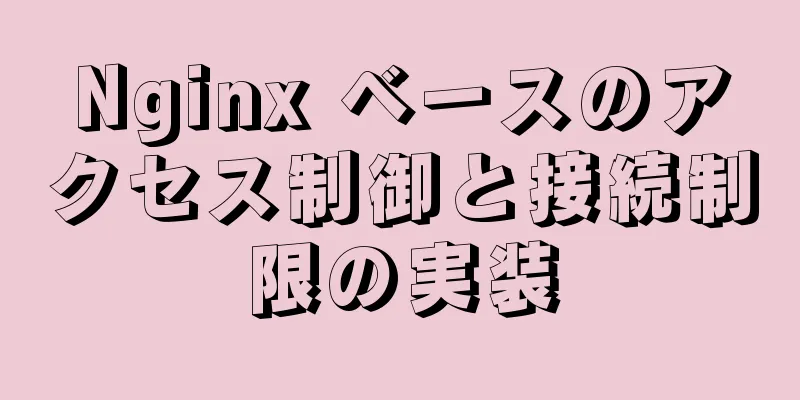 Nginx ベースのアクセス制御と接続制限の実装