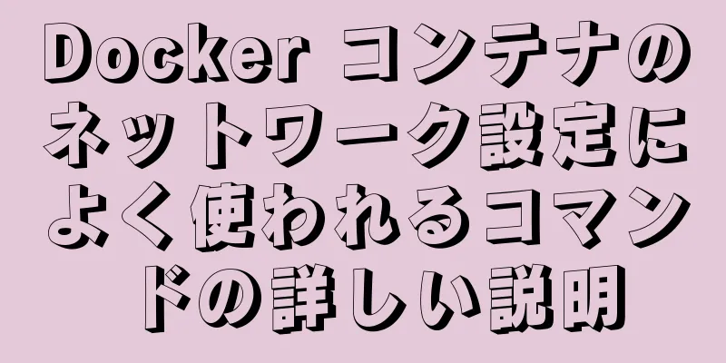 Docker コンテナのネットワーク設定によく使われるコマンドの詳しい説明