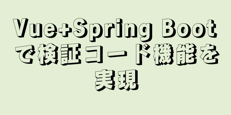 Vue+Spring Bootで検証コード機能を実現