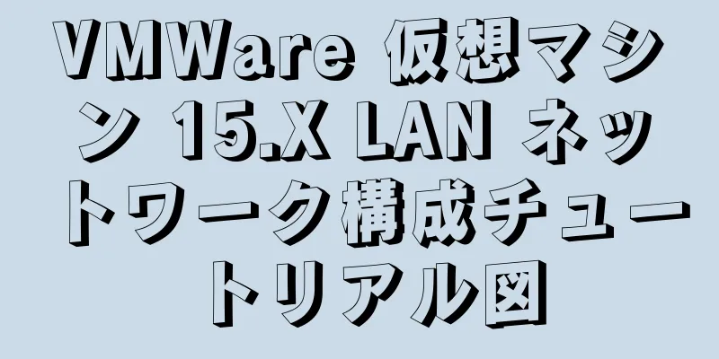 VMWare 仮想マシン 15.X LAN ネットワーク構成チュートリアル図