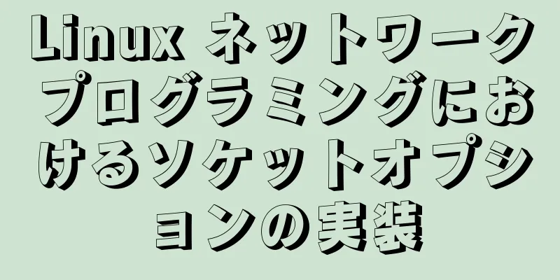 Linux ネットワークプログラミングにおけるソケットオプションの実装