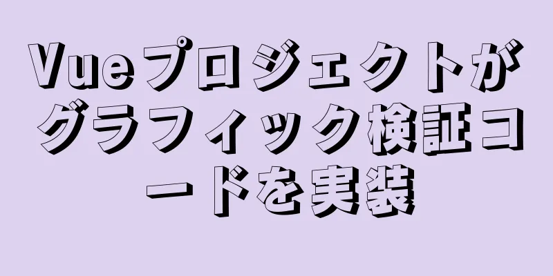 Vueプロジェクトがグラフィック検証コードを実装