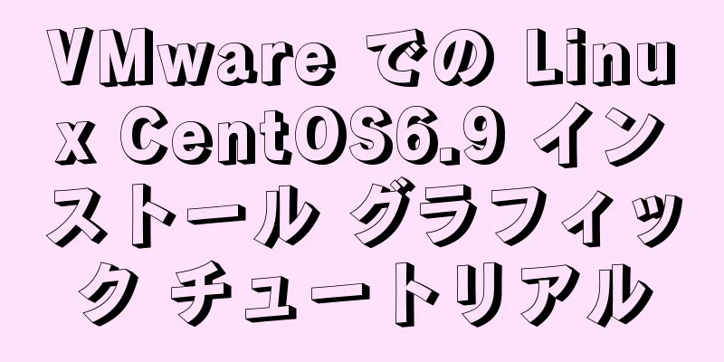 VMware での Linux CentOS6.9 インストール グラフィック チュートリアル