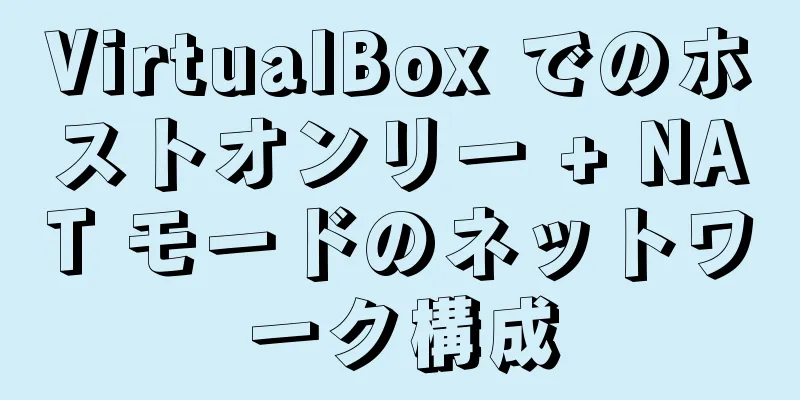 VirtualBox でのホストオンリー + NAT モードのネットワーク構成