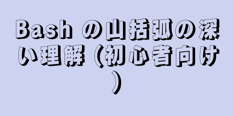 Bash の山括弧の深い理解 (初心者向け)