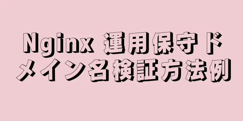 Nginx 運用保守ドメイン名検証方法例