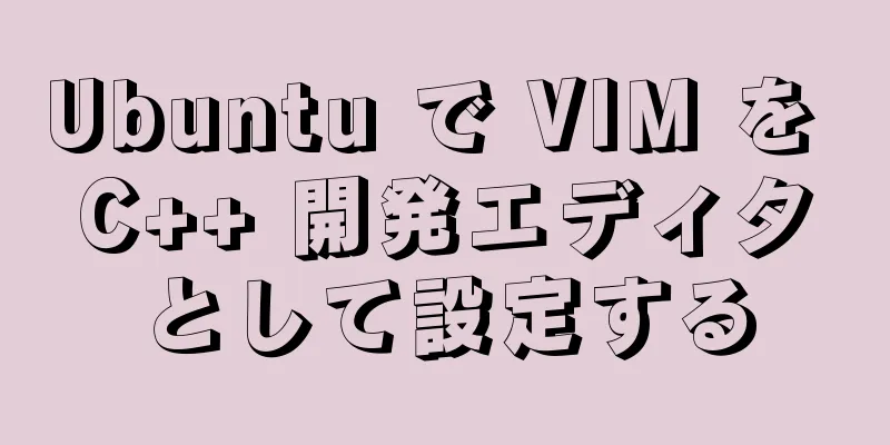 Ubuntu で VIM を C++ 開発エディタとして設定する