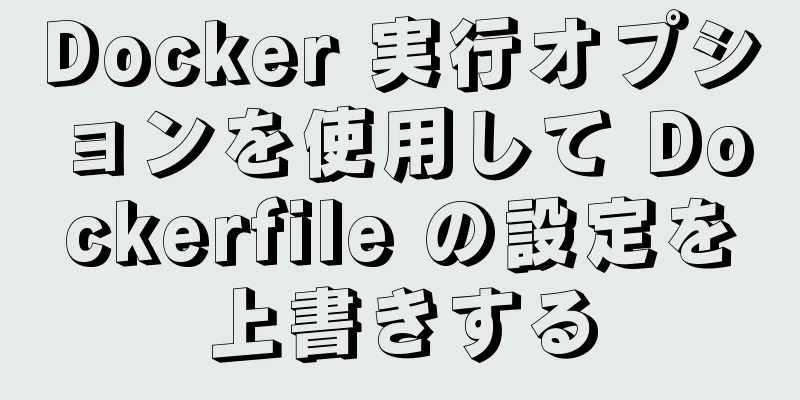 Docker 実行オプションを使用して Dockerfile の設定を上書きする