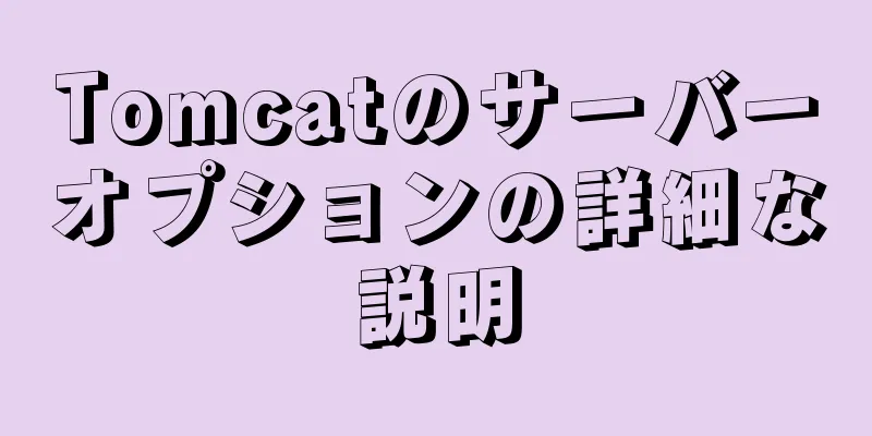 Tomcatのサーバーオプションの詳細な説明